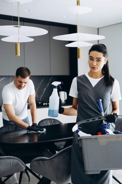 Fresh clean home interior with improved air quality for allergy season